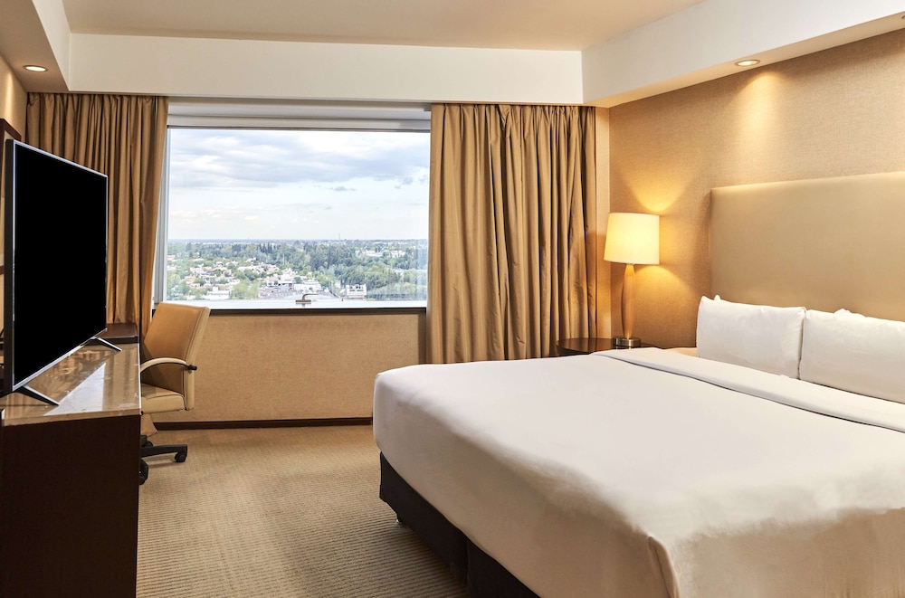 Room, 1 King Bed, Accessible (Roll-In Shower)