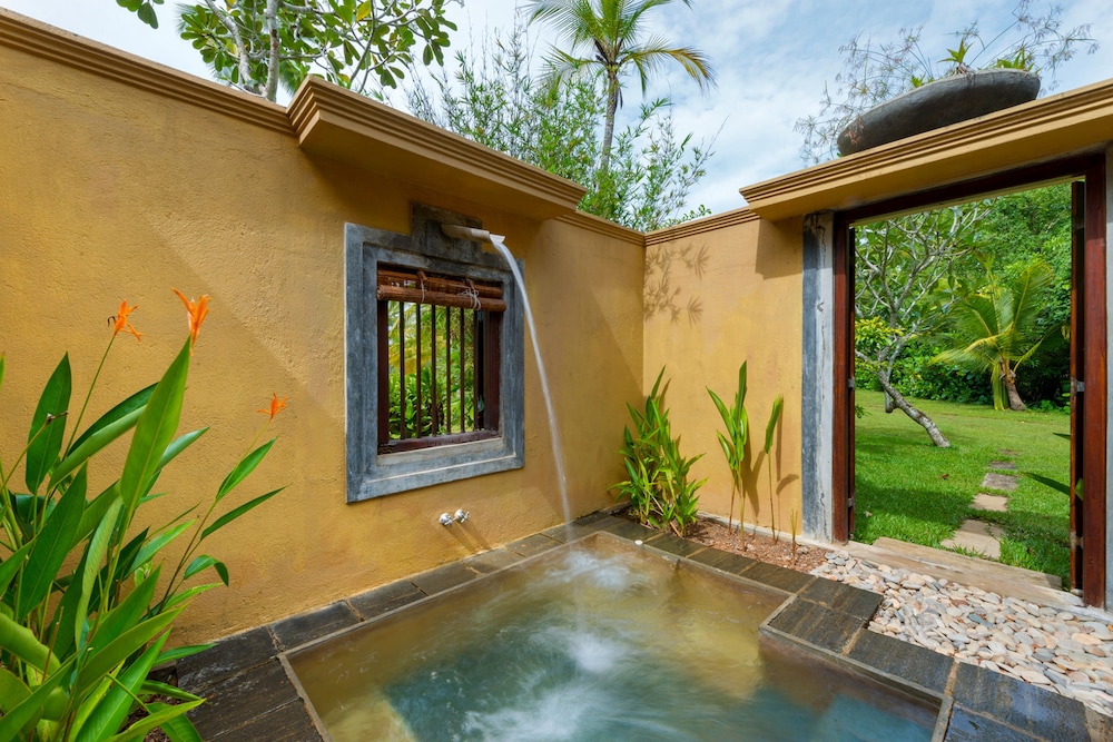 Jacuzzi Suite photo 3