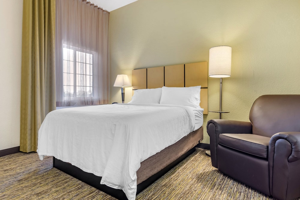 Studio Suite, 1 Queen Bed, Mobility Accessible (Communications) - Photo 3