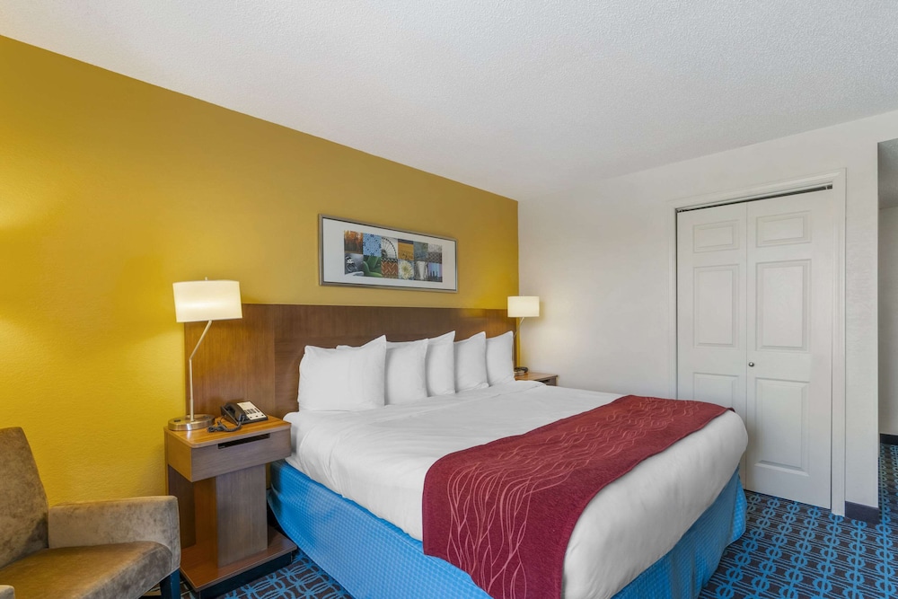 Standard Room, 1 King Bed, Non Smoking - Photo 4