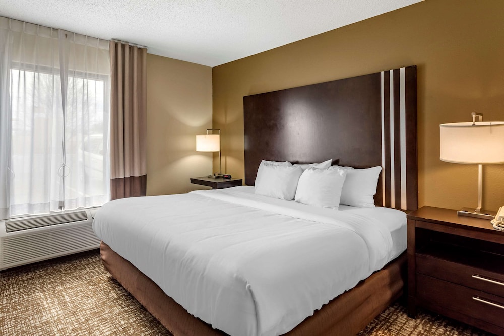 Business Suite, 1 King Bed - Photo 1