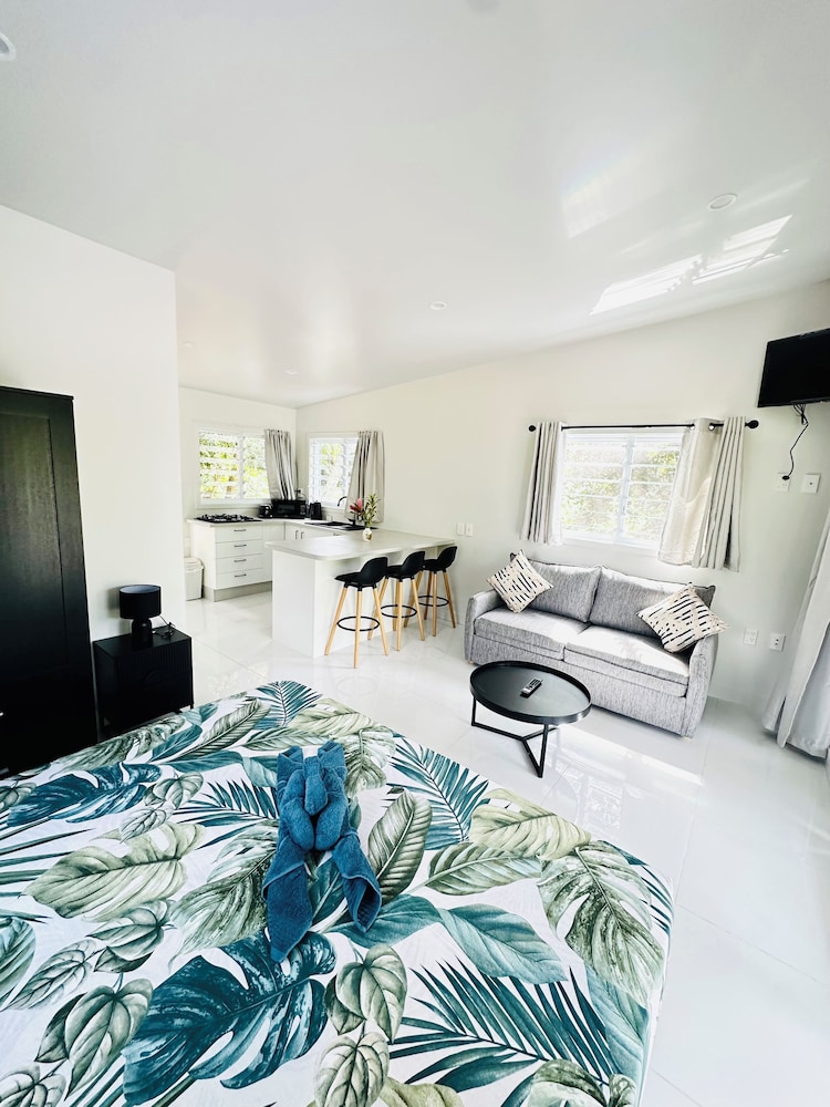 Comfort Studio, 1 King Bed, Air conditioning photo 3