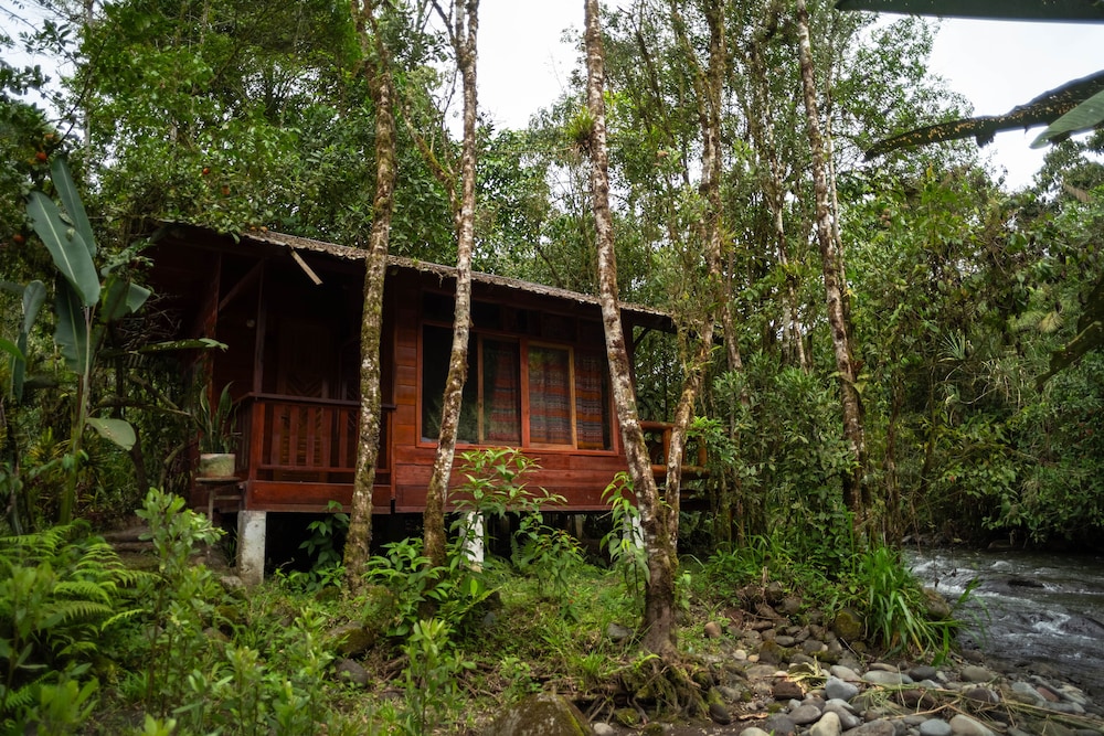 Cabin photo 2