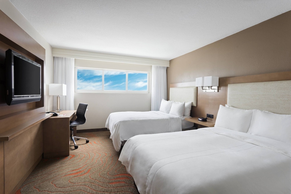 Suite, 1 Bedroom photo 3