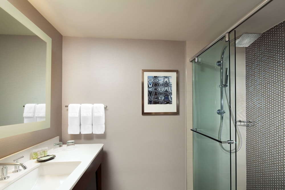 Room, 1 King Bed, Park View (Mobility Accessible, Roll-in Shower) - Photo 7