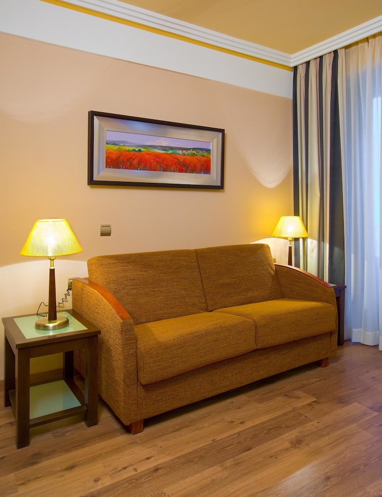 Superior Suite - Photo 9
