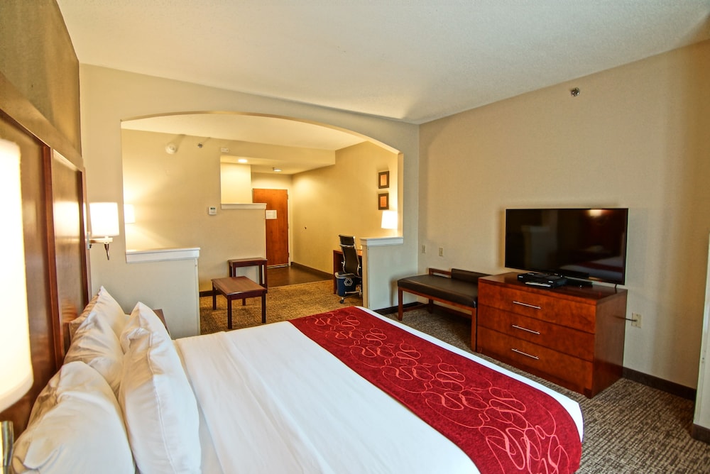 Suite, 1 King Bed with Sofa bed, Non Smoking - Photo 4