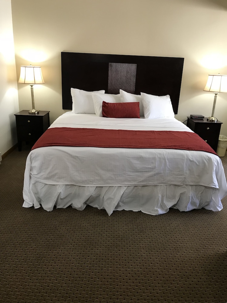 Exclusive Studio Suite, Kitchenette, Ground Floor photo 1