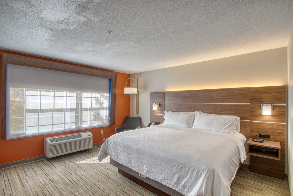 Standard Room, 1 King Bed, Accessible (Communications, Accessible Tub) - Photo 5