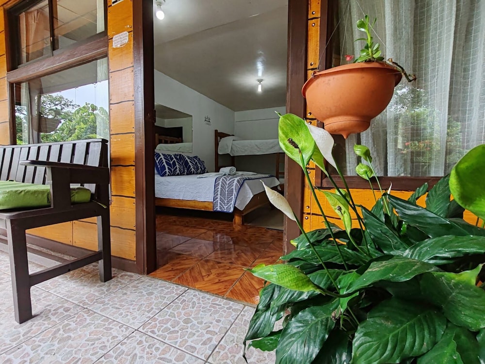Family Room, Balcony, Garden View photo 2