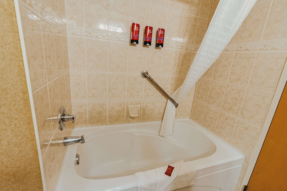 Standard Room, 1 King Bed, Accessible, Refrigerator & Microwave - Photo 4