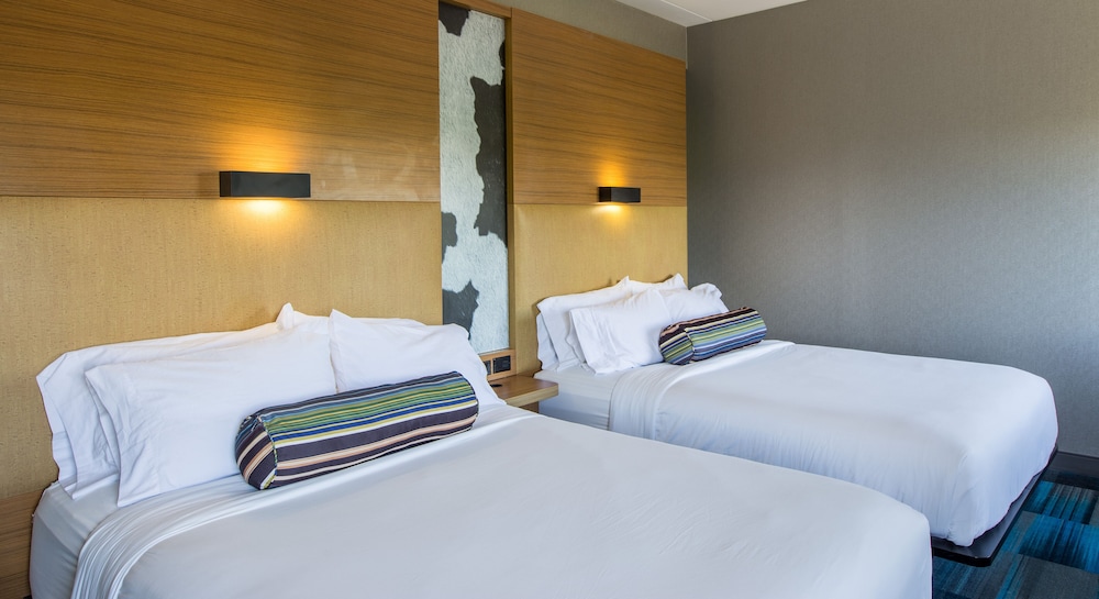 Room, 2 Queen Beds (Mobility Accessible, Roll-in Shower) photo 2