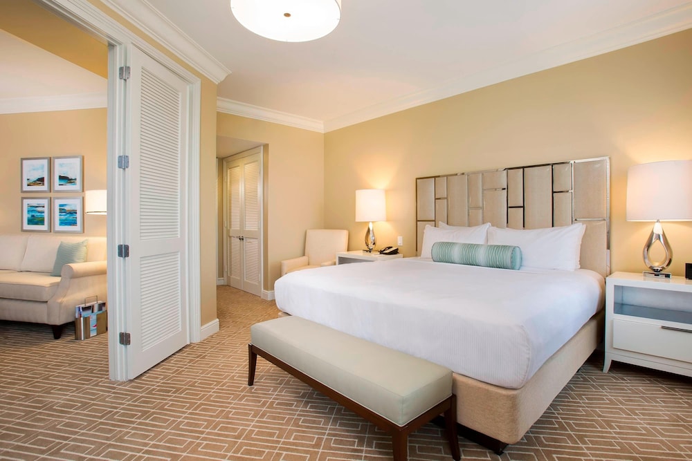 Suite, 1 King Bed with Sofa bed