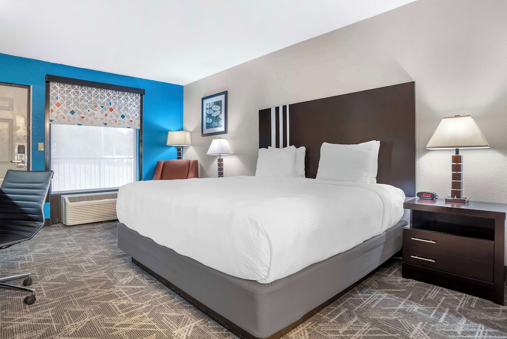 Standard Room, 1 King Bed, Non Smoking, Refrigerator & Microwave photo 3