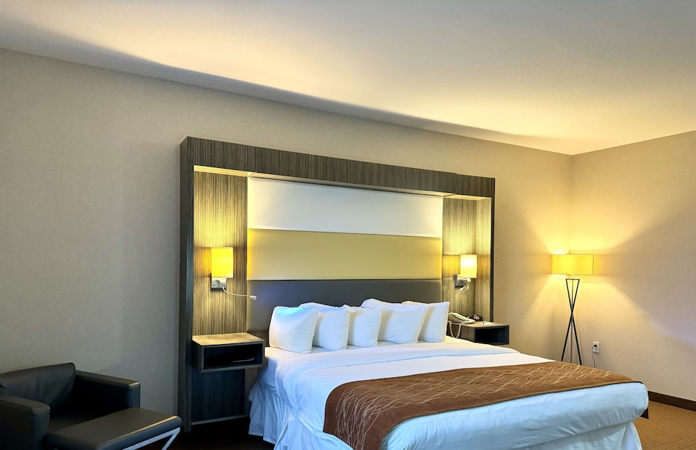 Standard Room, 1 King Bed, Microwave, Multiple View photo 3