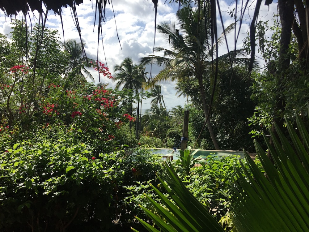 Standard Bungalow photo 3