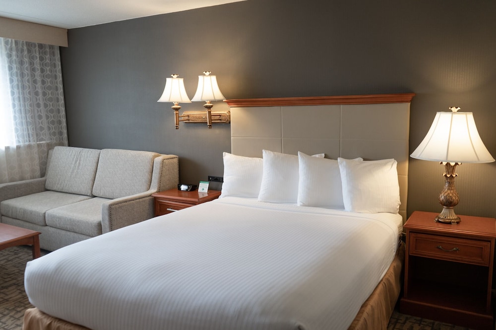 Room (Handicap Full Size Bed) - Photo 3