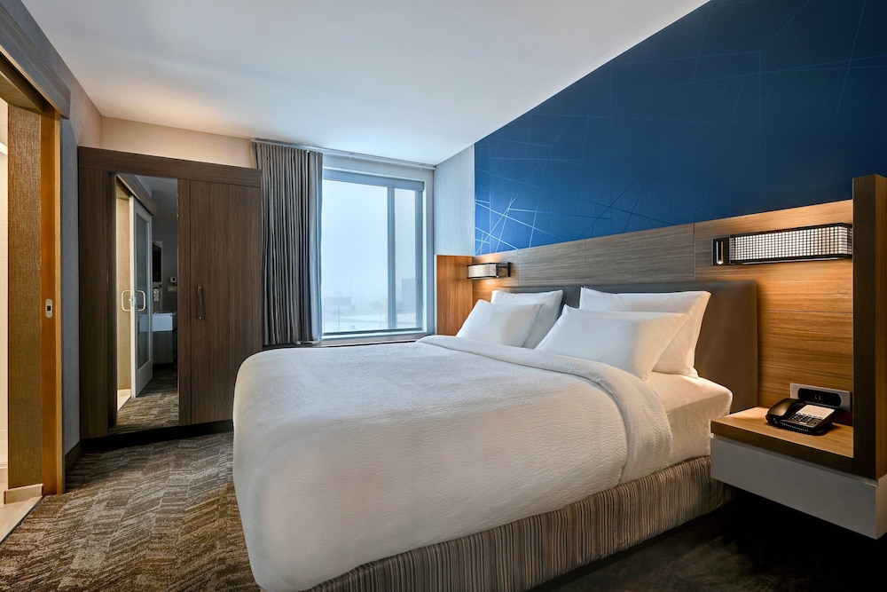 Suite, 1 King Bed - Photo 1