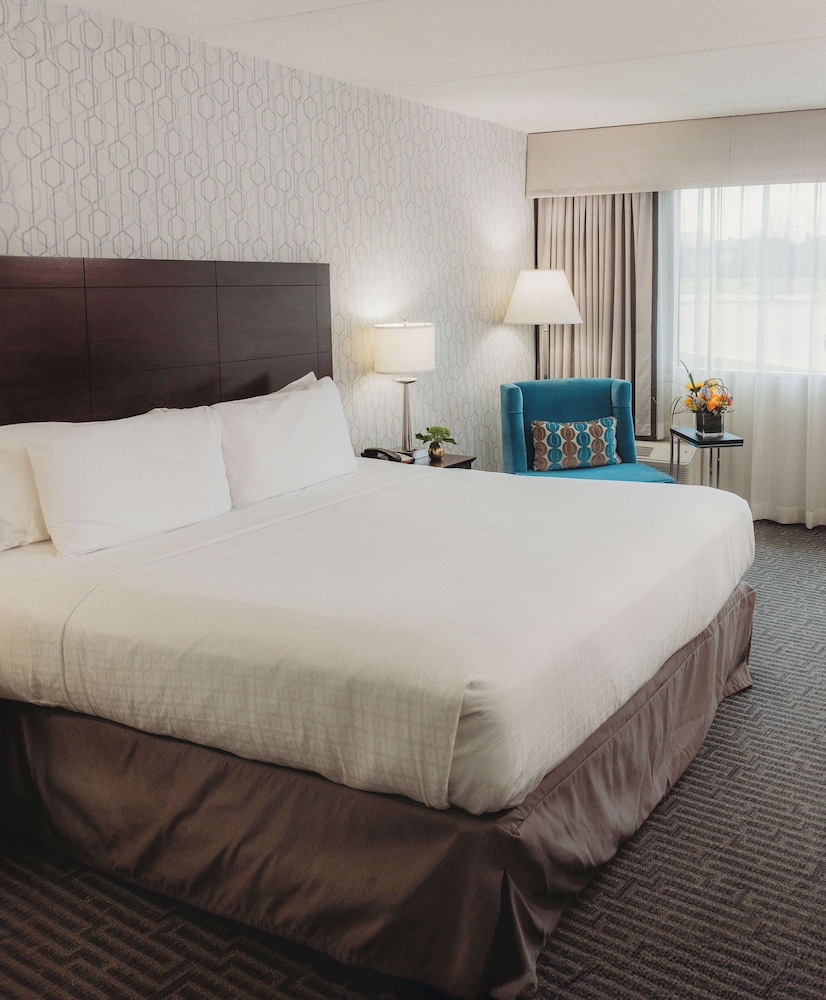 Executive Room, 1 King Bed - Photo 1