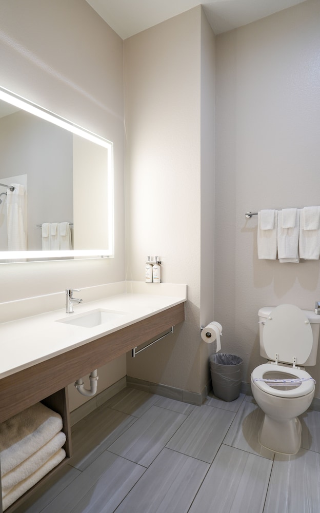 Suite, 1 King Bed, Accessible (Mobility Tub) - Photo 4