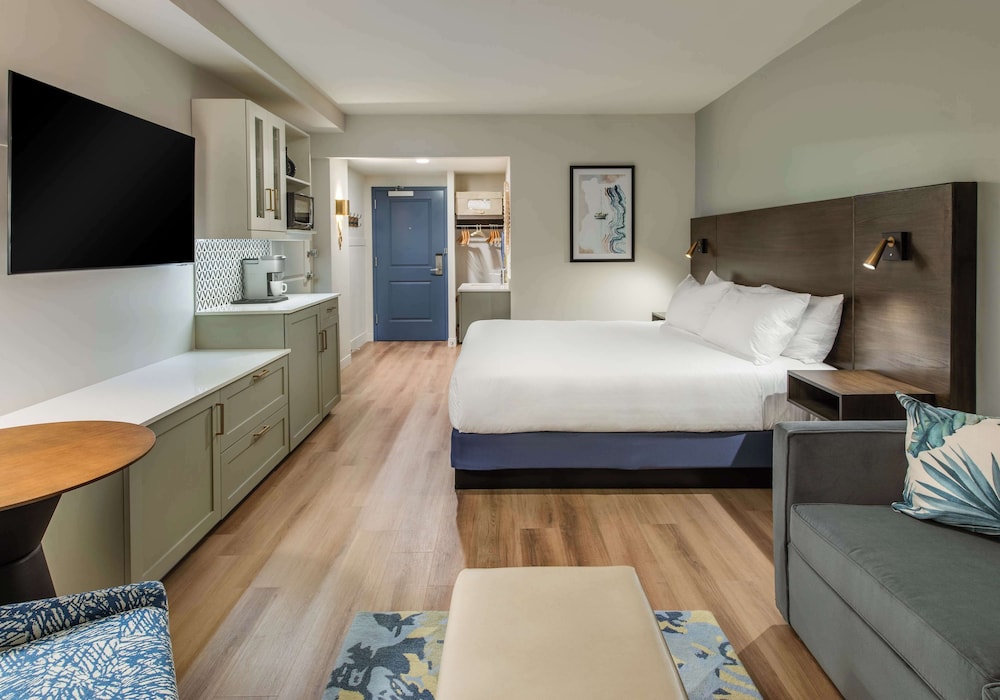 Room, 1 King Bed, Accessible, Bathtub (Mobility & Hearing) photo 3