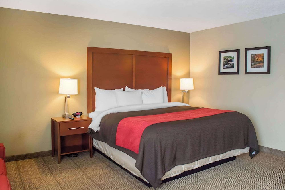 Suite, 1 King Bed with Sofa bed, Non Smoking photo 1