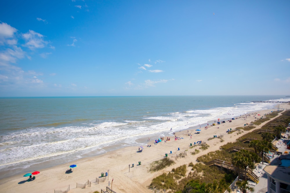 Oceanfront Queen Penthouse (no pets) photo 3