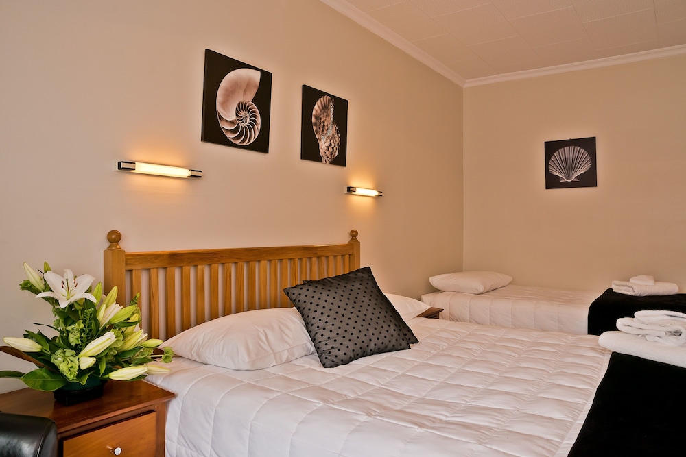 Studio, Multiple Beds photo 1