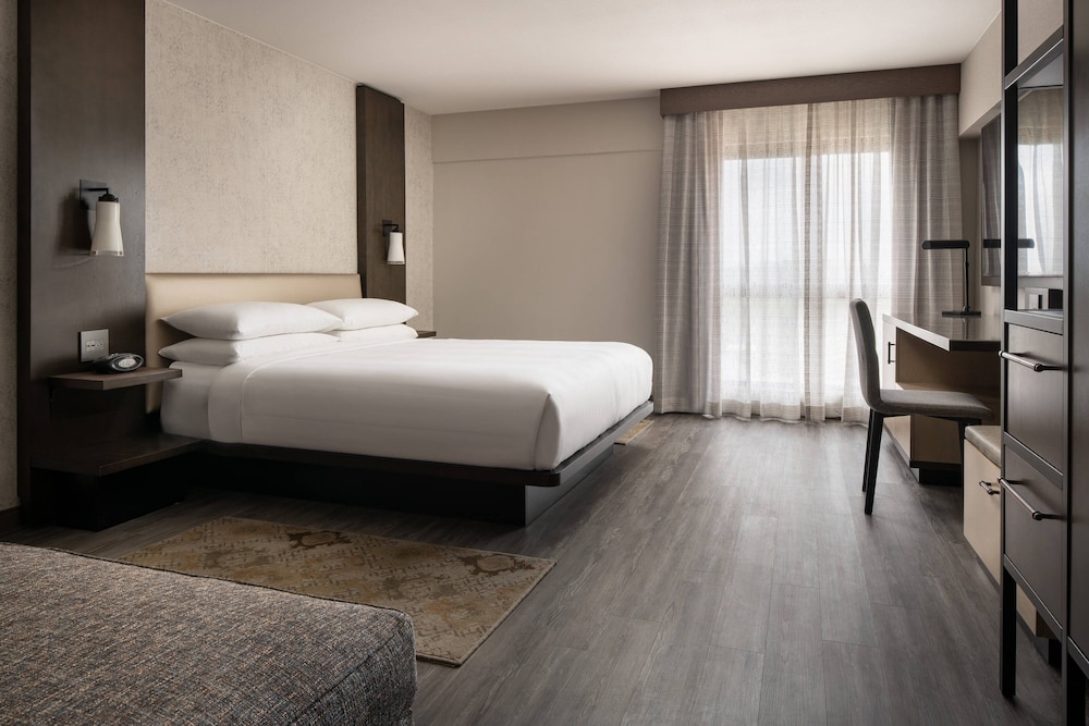 Room, 1 King Bed (Mobility Accessible, Roll-In Shower) - Photo 1