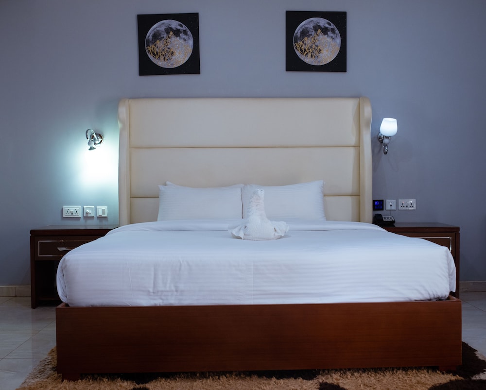Deluxe Room, 1 Queen Bed photo 3