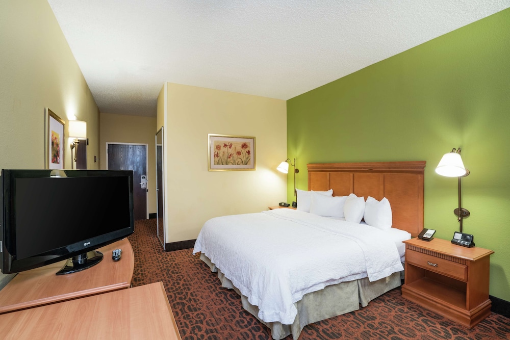 Room, 1 King Bed, Accessible, Non Smoking photo 1