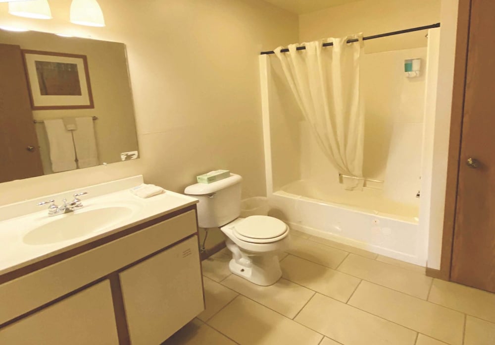 Premier Studio Suite, 1 King Bed, Hot Tub photo 3