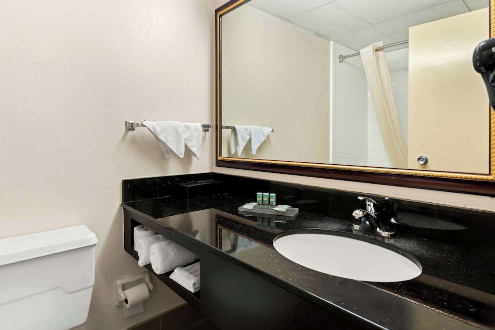 Standard Room, 1 King Bed, Non Smoking, Jetted Tub - Photo 4