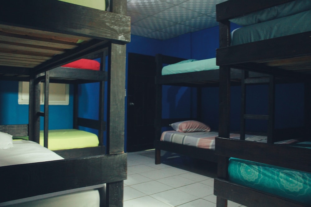 Basic Shared Dormitory photo 1