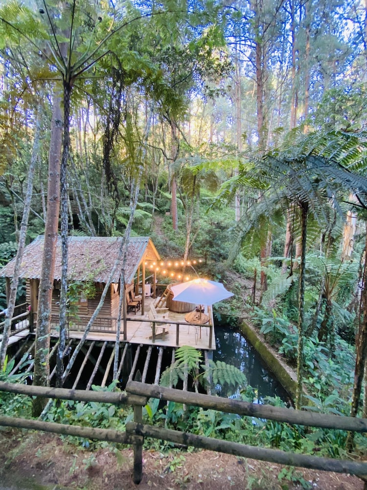 高级小屋