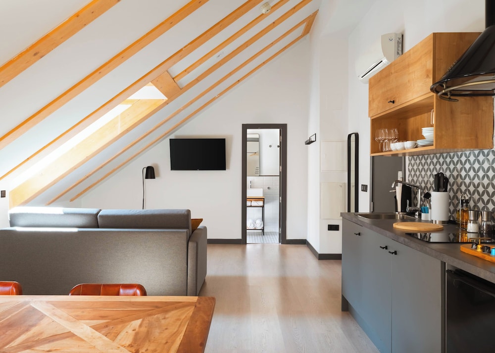 One-Bedroom Apartment with sofa bed