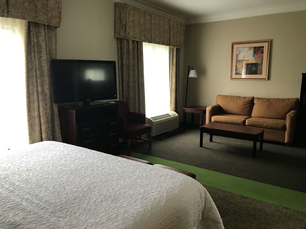 Suite, 1 King Bed, Non Smoking - Photo 4