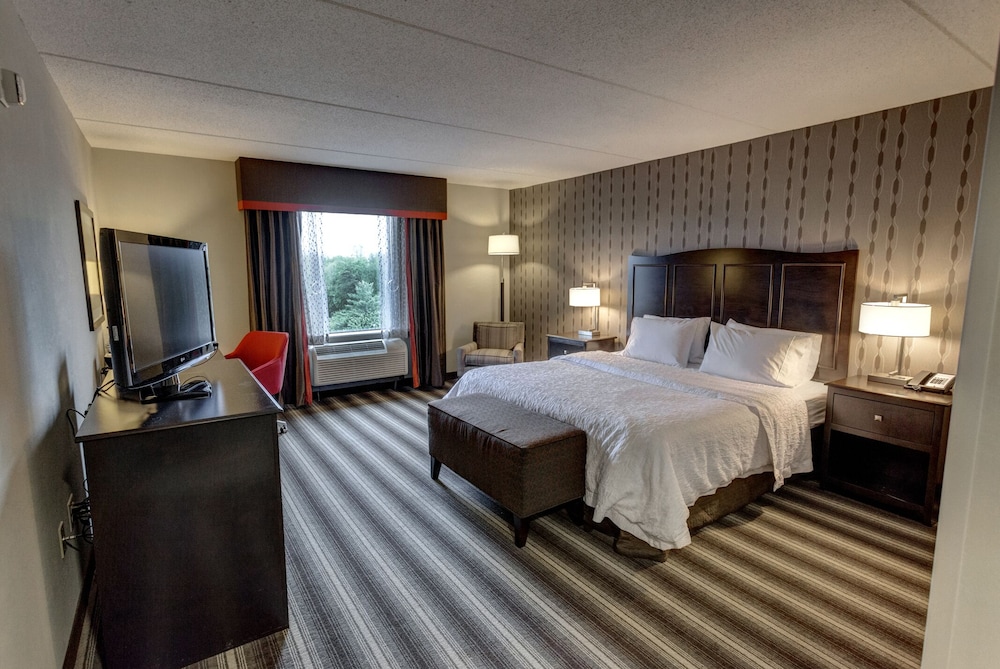 One King Bed, Non-Smoking, Accessible photo 1