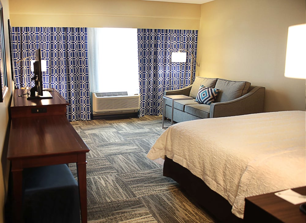 Room, 1 King Bed with Sofa bed, Non Smoking, Refrigerator