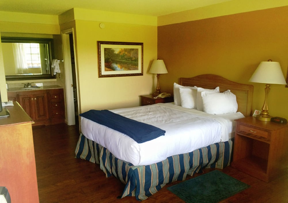 Room, 1 Queen Bed, Non Smoking photo 1