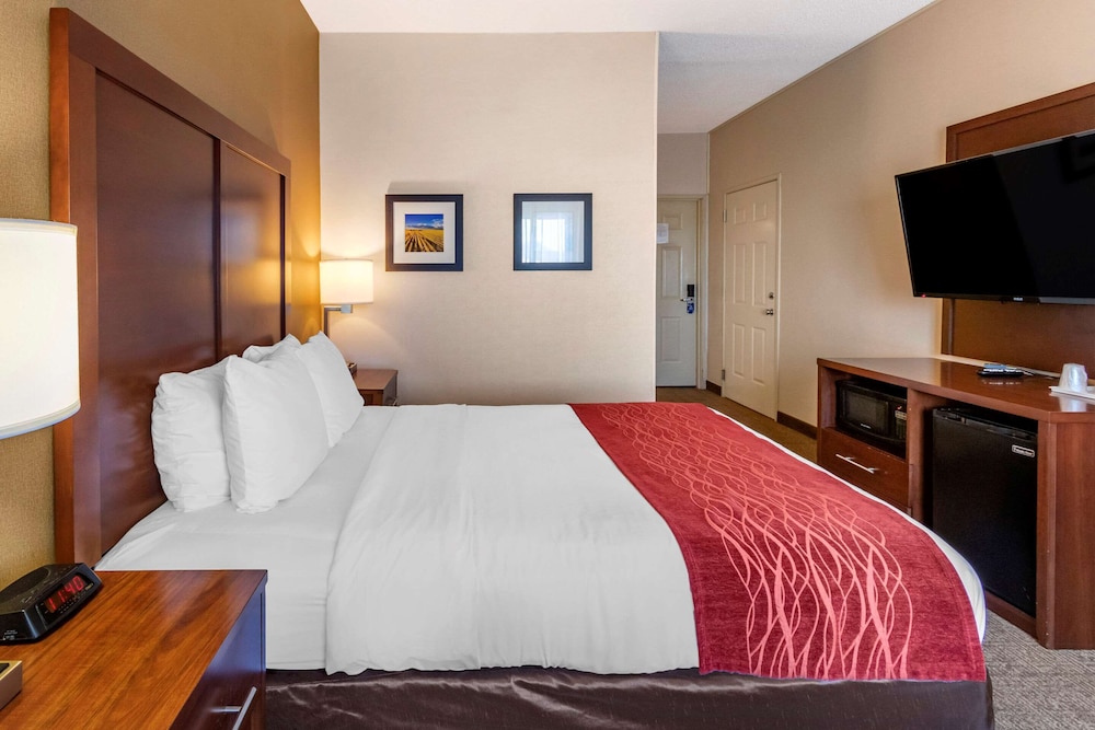 Standard Room, 1 Queen Bed, Non Smoking photo 3