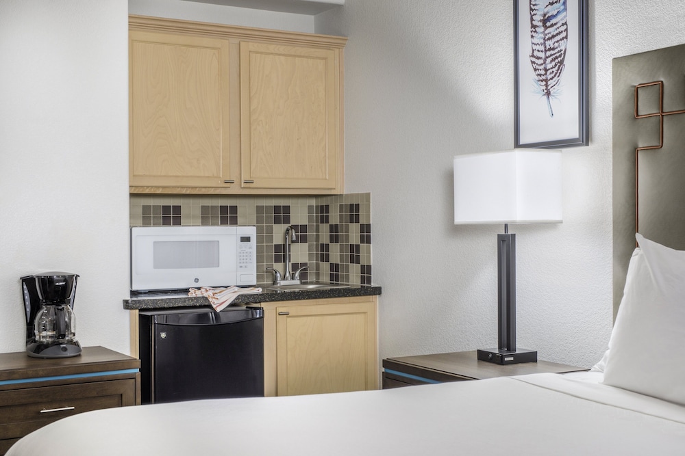 Suite, 1 Bedroom photo 3