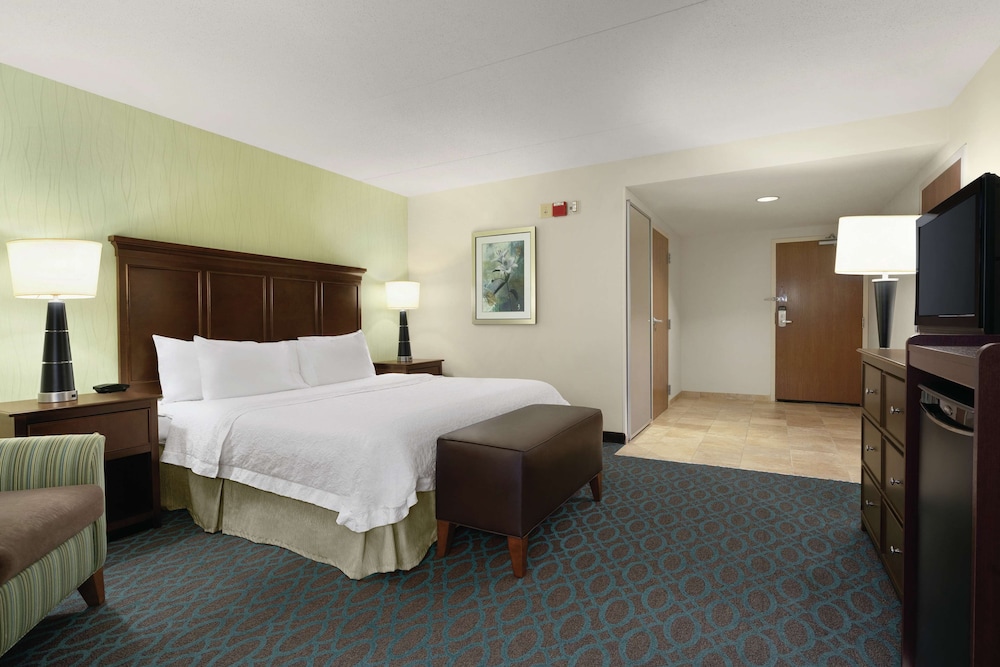 Room, 1 King Bed, Accessible - Photo 1