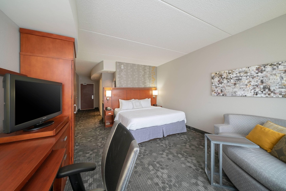 Room, 1 King Bed with Sofa bed (Mobility/Hearing Access, Roll-In Shwr) - Photo 1