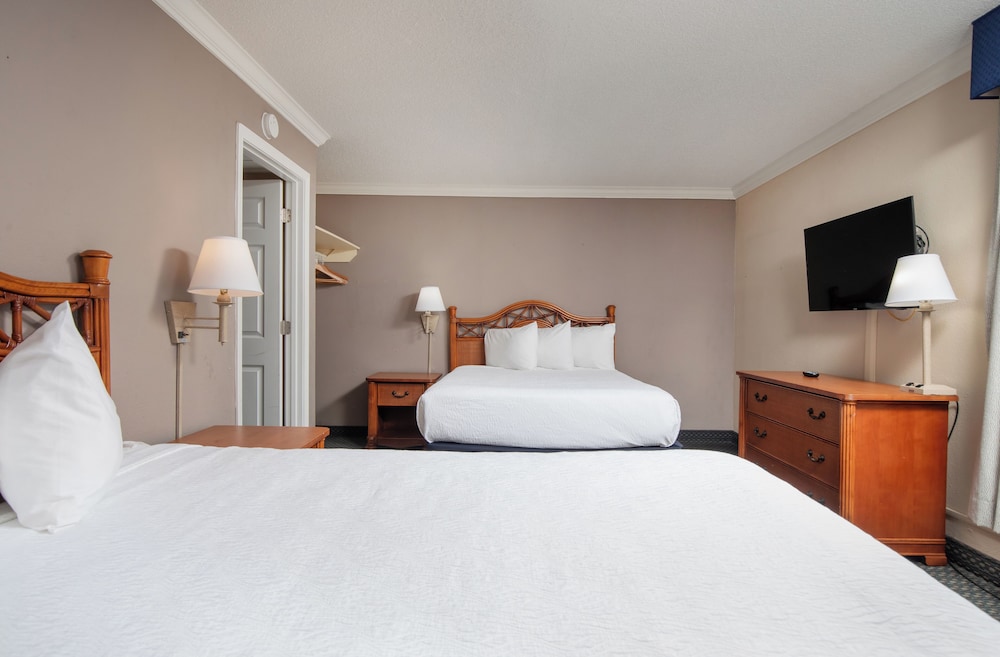 Deluxe Two Room Suite No Balcony photo 2