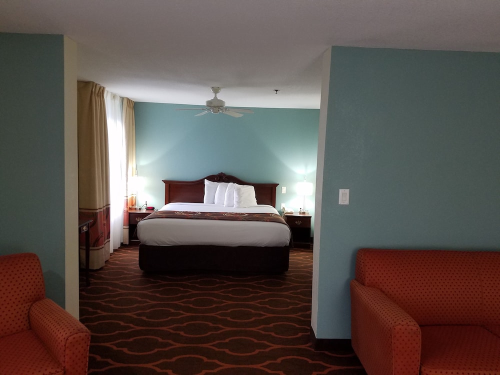 Suite, 1 King Bed, Non Smoking - Photo 1