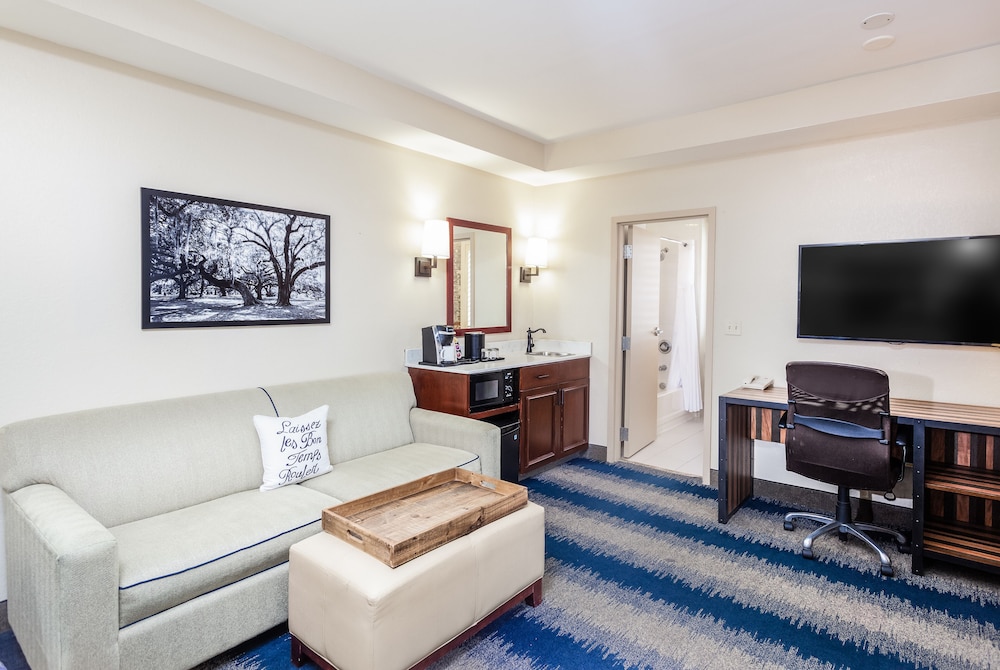 Suite, 1 King Bed with Sofa bed photo 1