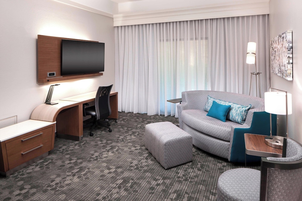 Suite, 1 King Bed with Sofa bed - Photo 1