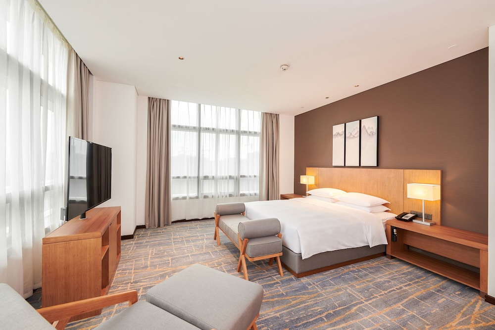 Suite, 1 King Bed with Sofa bed
