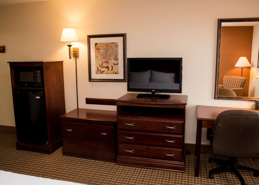 Room, 1 King Bed, Jetted Tub photo 3